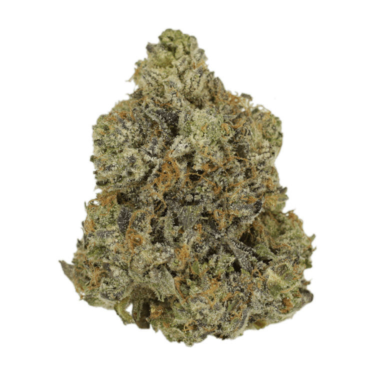 Rockstar | Pink Joint Canada Rockstar | Pink Joint Canada