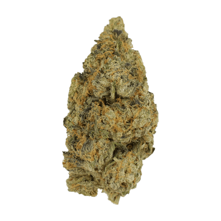 Citrus Funk | Pink Joint Canada Citrus Funk | Pink Joint Canada