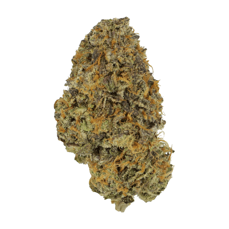 Blackberry Nightmare | Pink Joint Canada Blackberry Nightmare | Pink Joint Canada