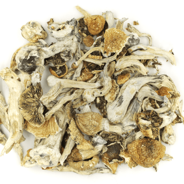 Lizard King | Pink Joint Canada