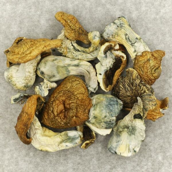 King Kong | Pink Joint Canada