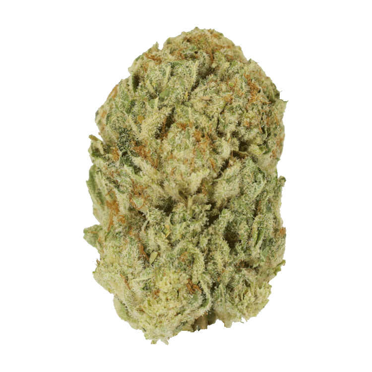 Trap Star | Pink Joint Canada Trap Star | Pink Joint Canada