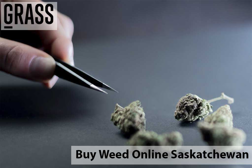 Buy cannabis online Saskatchewan