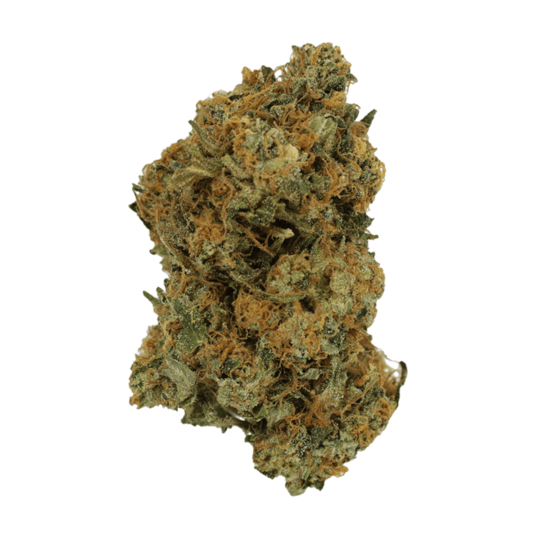 Blue Alpha | Pink Joint Canada Blue Alpha | Pink Joint Canada