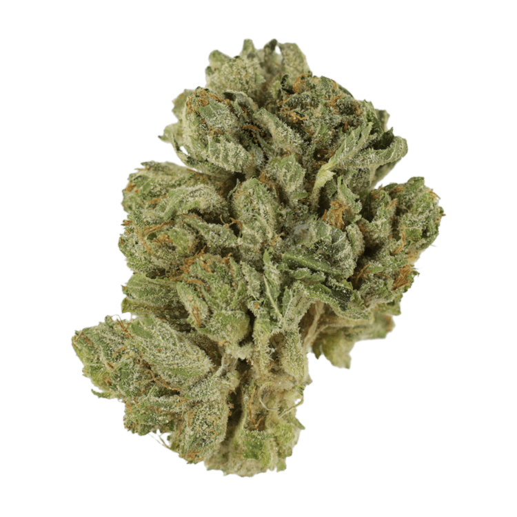 Northern Wonder | Pink Joint Canada Northern Wonder | Pink Joint Canada