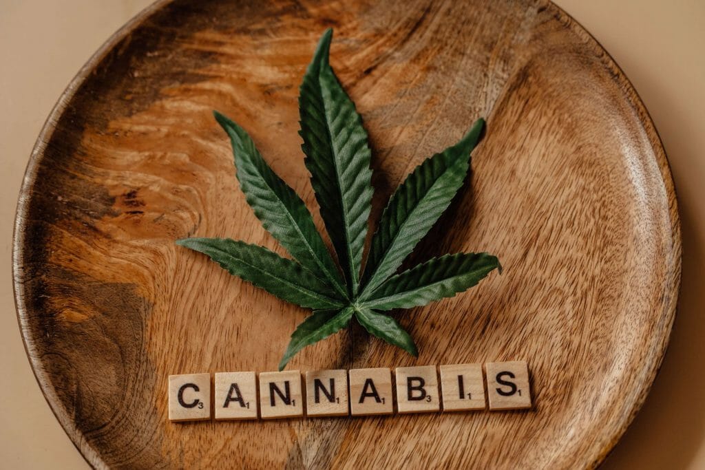 Cannabis cannabis Marijuana