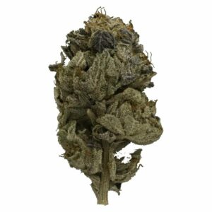 Pink Joint Canada - Pink Gas Strain | Pink Joint Canada