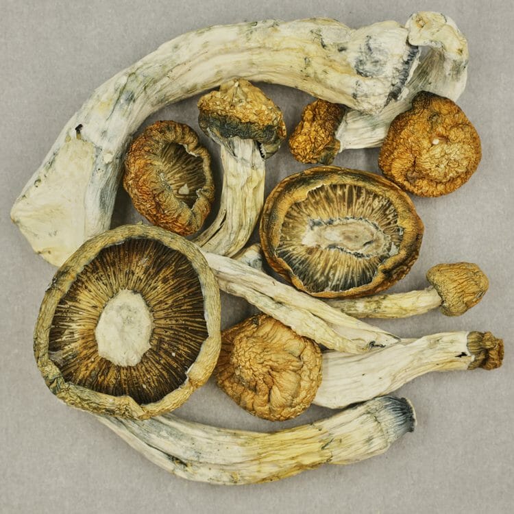 Thrasher | Pink Joint Canada Thrasher | Pink Joint Canada