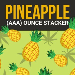 Pineapple 1 OZ Kit | Pink Joint Canada